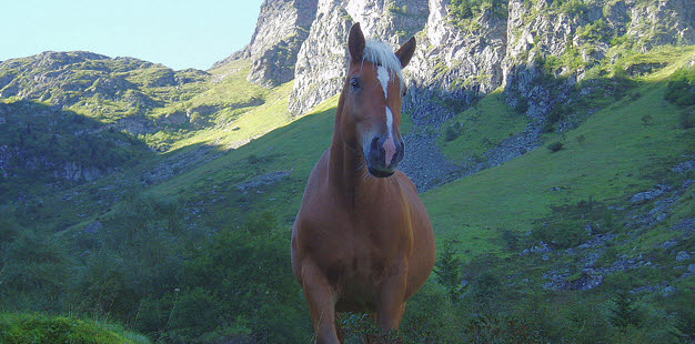 Littérature anglaise