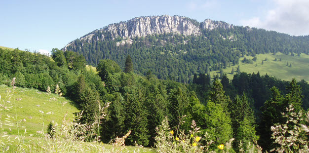 Littérature allemande